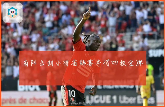 南阳击剑小将省锦赛夺得四枚金牌