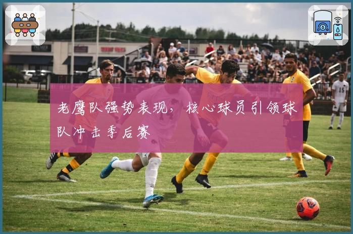 老鹰队强势表现，核心球员引领球队冲击季后赛