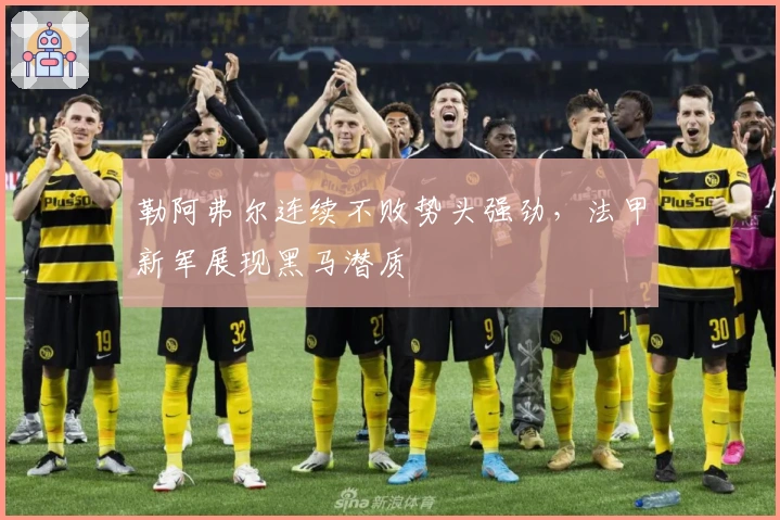 勒阿弗尔连续不败势头强劲，法甲新军展现黑马潜质