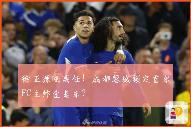 徐正源刚离任！成都蓉城锁定首尔FC主帅金基东？