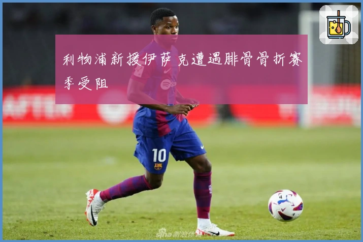利物浦新援伊萨克遭遇腓骨骨折赛季受阻