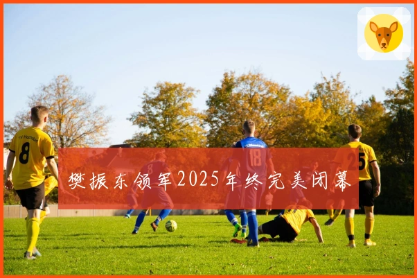 樊振东领军2025年终完美闭幕