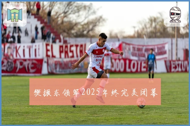 樊振东领军2025年终完美闭幕