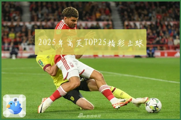 2025年高芙TOP25精彩击球